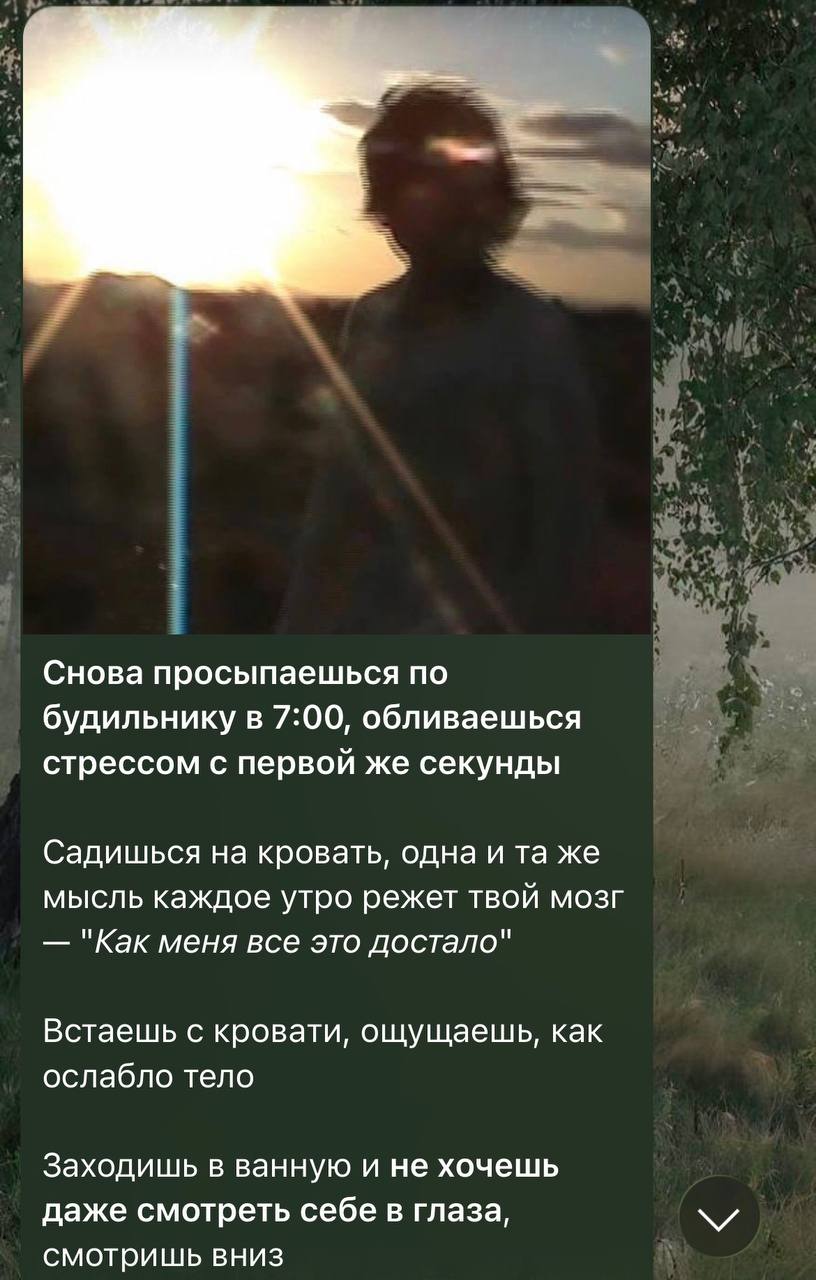 Публикация Green Hill о ежедневном состоянии